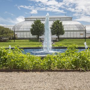 A tall fountain jets skyward in a pond bordered by greenery, with a glass greenhouse in the background